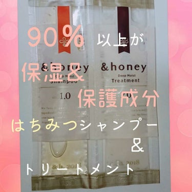 ディープモイスト シャンプー1.0／ヘアトリートメント2.0/&honey/シャンプー・コンディショナーを使ったクチコミ（1枚目）