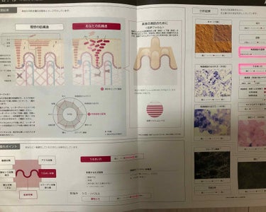 ☆ともてぃ☆ on LIPS 「🌸スキンケア記録🌸2回目のスキンチェックを受けました！結果は…..」（1枚目）