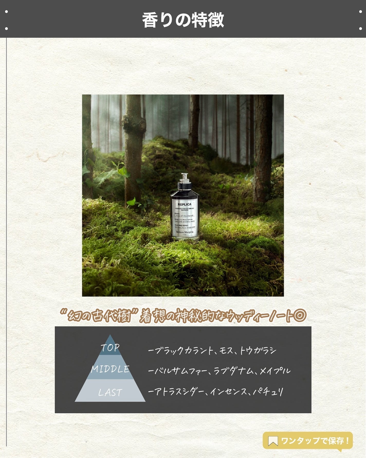 エスログ┊1日1分のモテ香水紹介 on LIPS 「.『伝説香水復刻決定』🌳製品情報🌳MaisonMargiela..」(3枚目)