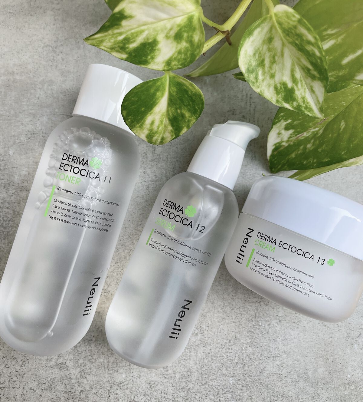 ダーマエクトシカ13クリーム/Neulii/フェイスクリームを使ったクチコミ（1枚目）