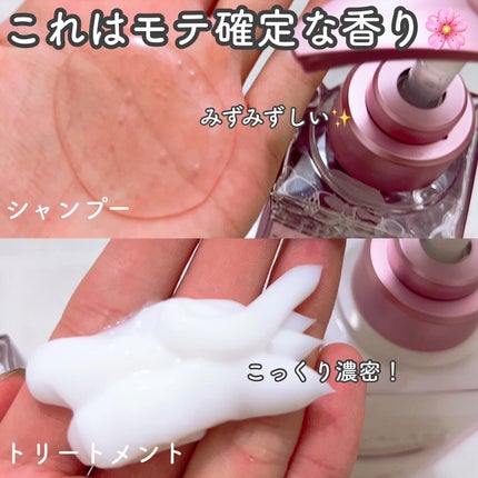 プルント コントロールペアセット サクラ/Purunt./ヘアケア・スタイリングを使ったクチコミ(3枚目)