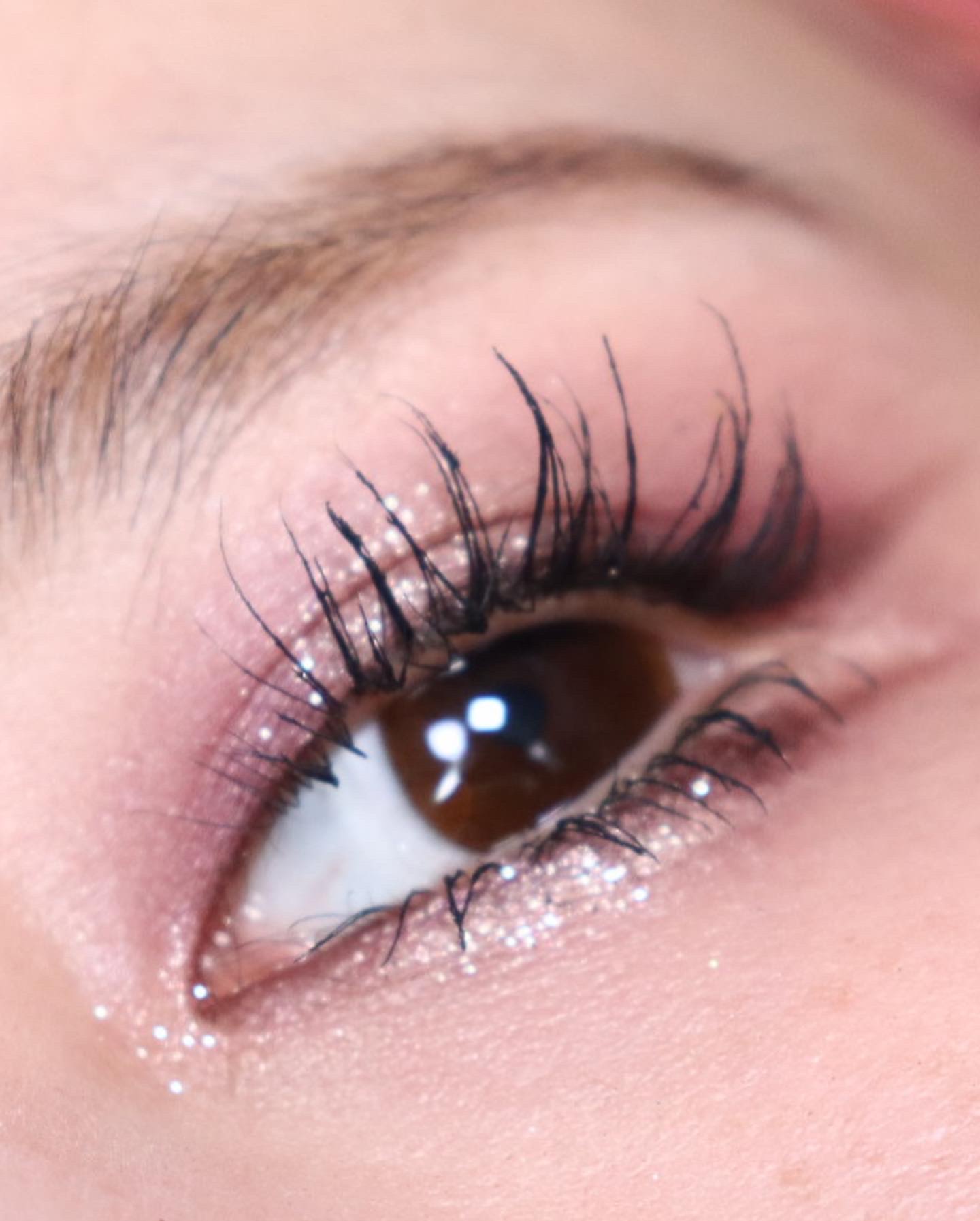 フェイスカラーパレット/チャコット・コスメティクス/アイシャドウパレットを使ったクチコミ（1枚目）