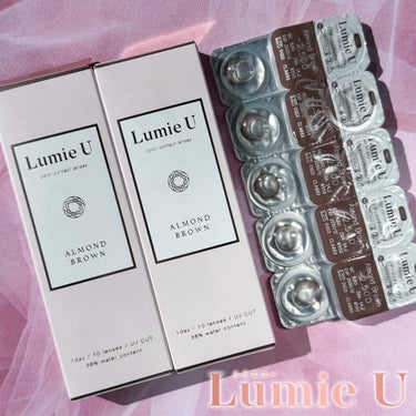 Lumie U 1day アーモンドブラウン/Lumie U/ワンデー（１DAY）カラコンの画像