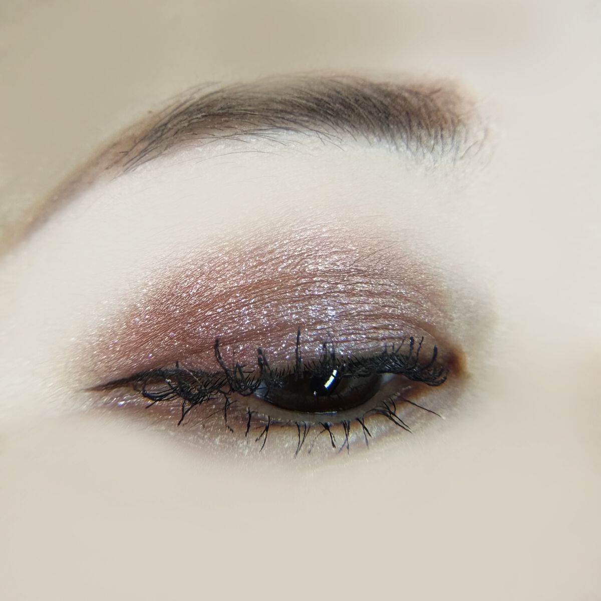 限定アイシャドウパレット】アイカラーレーション スペシャル