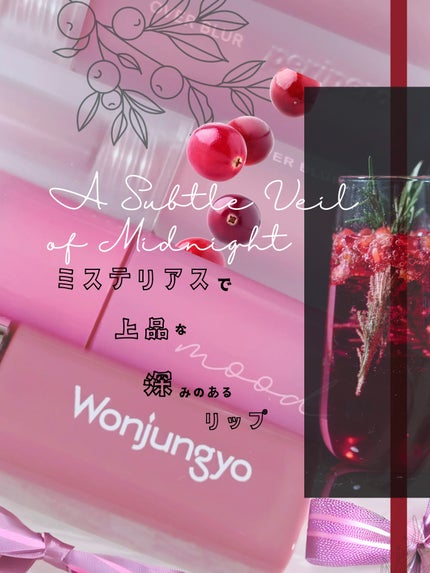 インク ムード グロイ ティント/PERIPERA/リップティントを使ったクチコミ(1枚目)