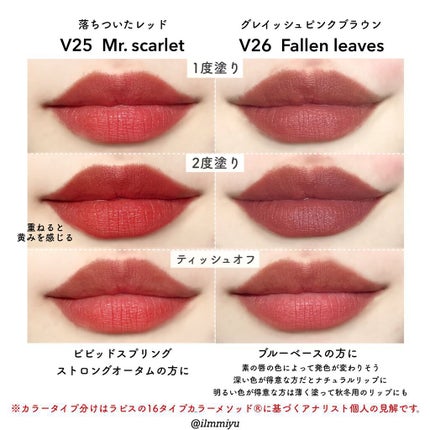 ノワール イン ザ ベルベットティント/MERZY/リップティントを使ったクチコミ(9枚目)