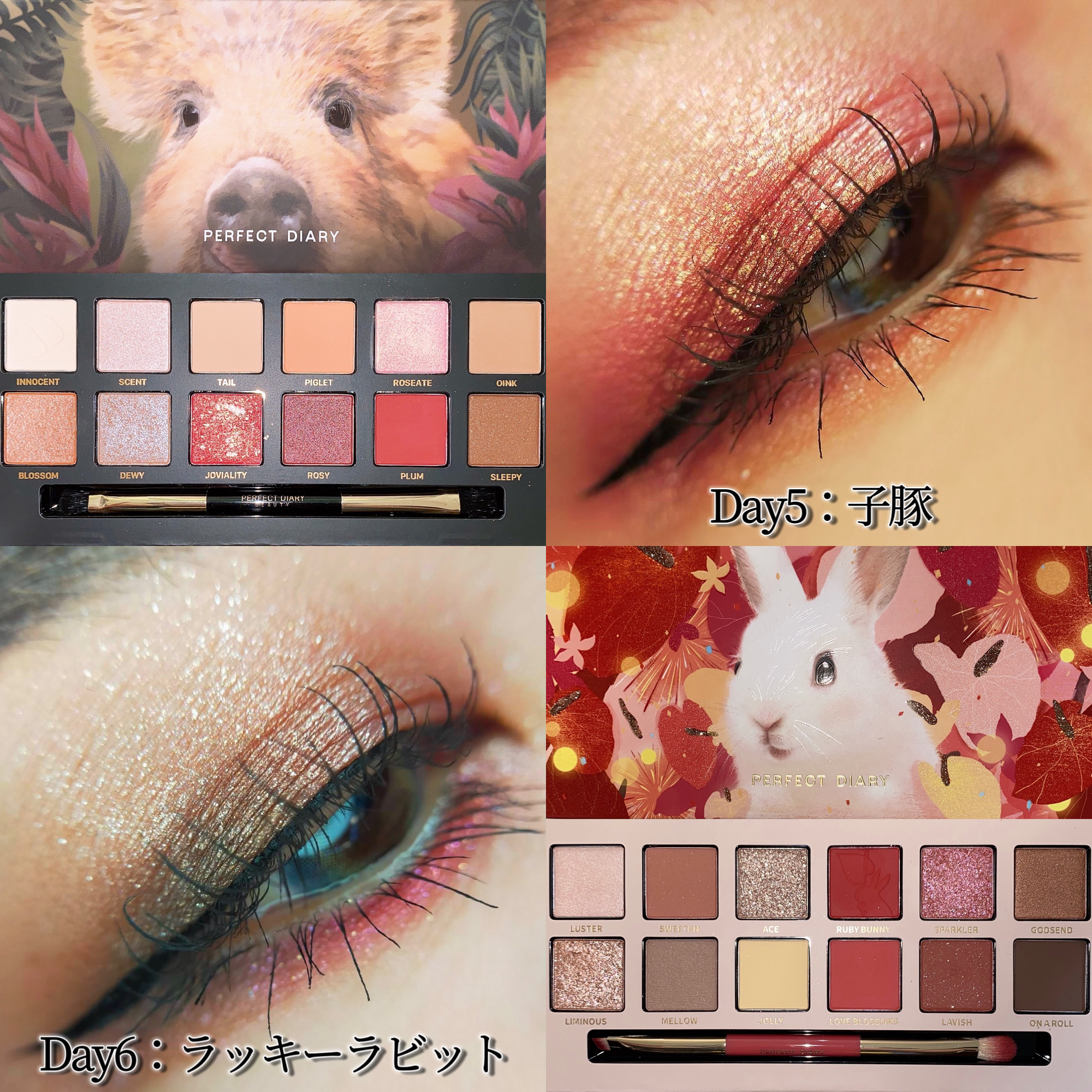 エクスプローラ12色 動物アイシャドウパレット｜PERFECT DIARYの口コミ