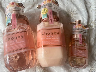 &honey Melty モイストリペア シャンプー1.0／モイストリペア ヘアトリートメント2.0/&honey/シャンプー・コンディショナーを使ったクチコミ（1枚目）