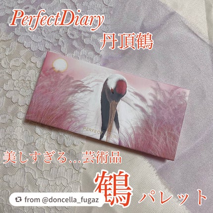エクスプローラ12色 動物アイシャドウパレット/PERFECT DIARY/アイシャドウパレットを使ったクチコミ(1枚目)