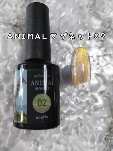 アニマルマグネットジェル/ネイル工房/ジェルネイルを使ったクチコミ(1枚目)