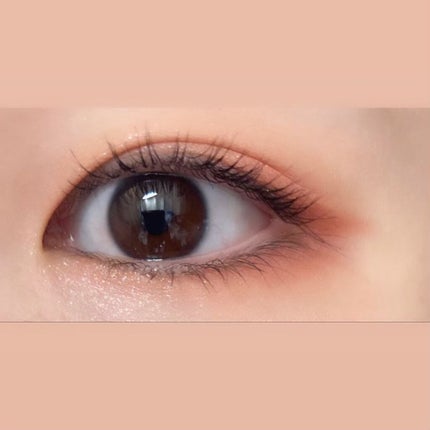 シャドウパレット/dasique/アイシャドウパレットを使ったクチコミ(4枚目)