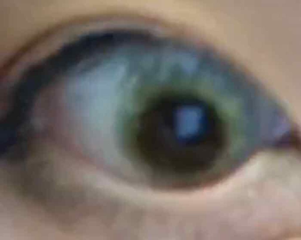 N’s COLLECTION 1day/N’s COLLECTION/ワンデー(1DAY)カラコンを使ったクチコミ(2枚目)