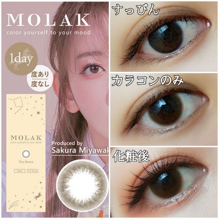 ラッシュエキスパンダー ロングロングロング/MAJOLICA MAJORCA/マスカラを使ったクチコミ(1枚目)