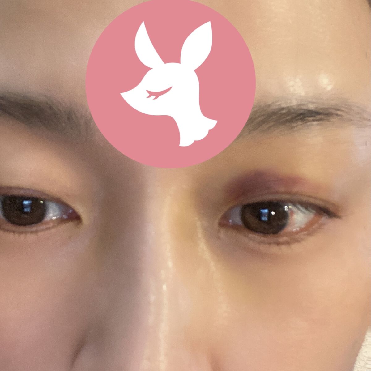 ラズル アイカラー 18 Leather/エレガンス ラズル /単色アイシャドウを使ったクチコミ（1枚目）