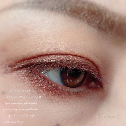 3Dプロデュースシャドウ/KATE/アイシャドウパレットを使ったクチコミ(4枚目)