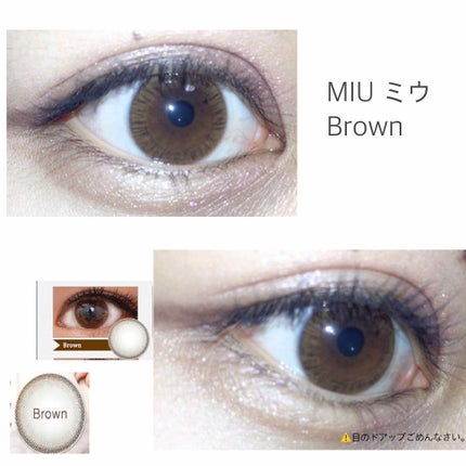 ミウ/蜜のレンズ/カラーコンタクトレンズを使ったクチコミ(1枚目)
