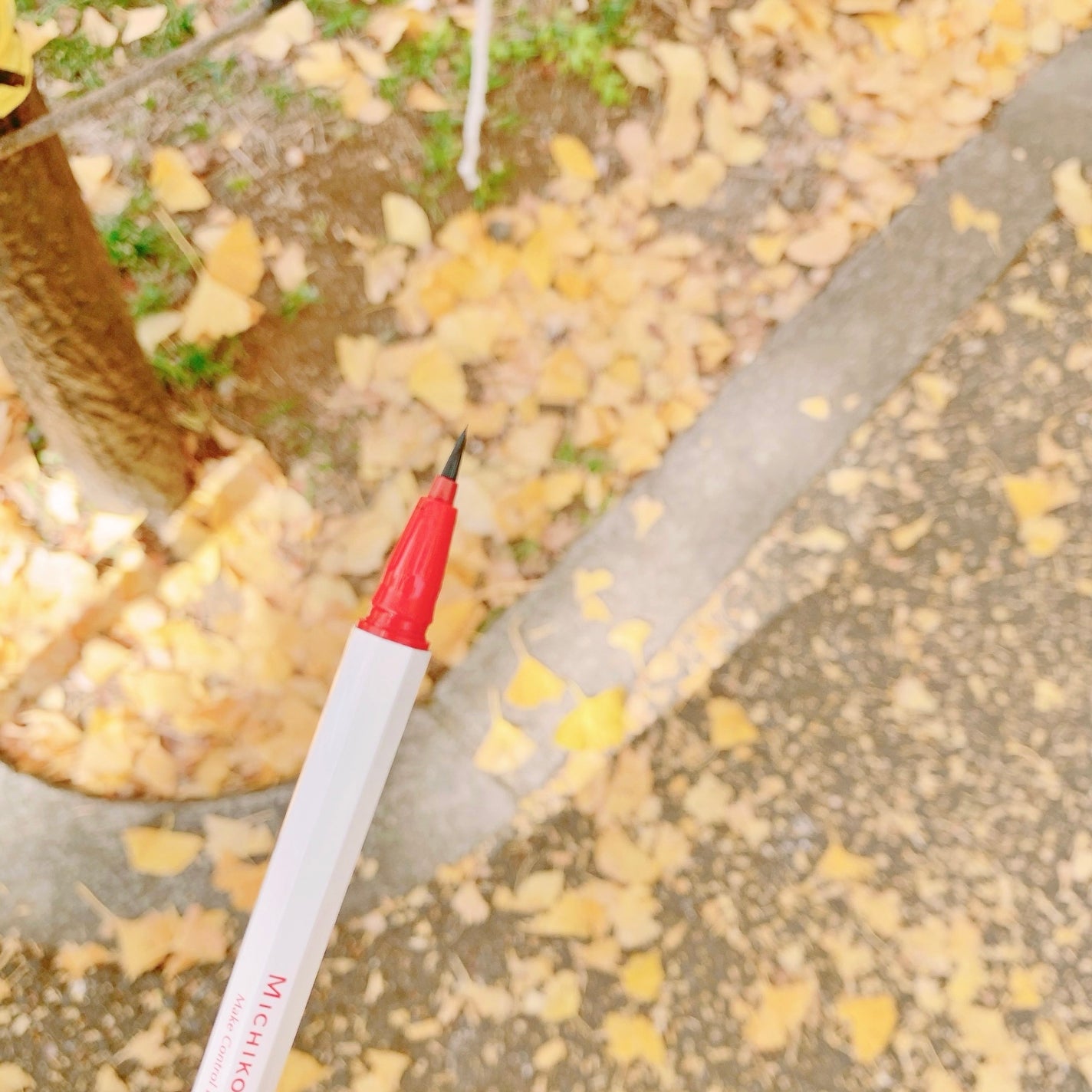 メイクコントロールライナー/MICHIKO.LIFE/リキッドアイライナーを使ったクチコミ(2枚目)