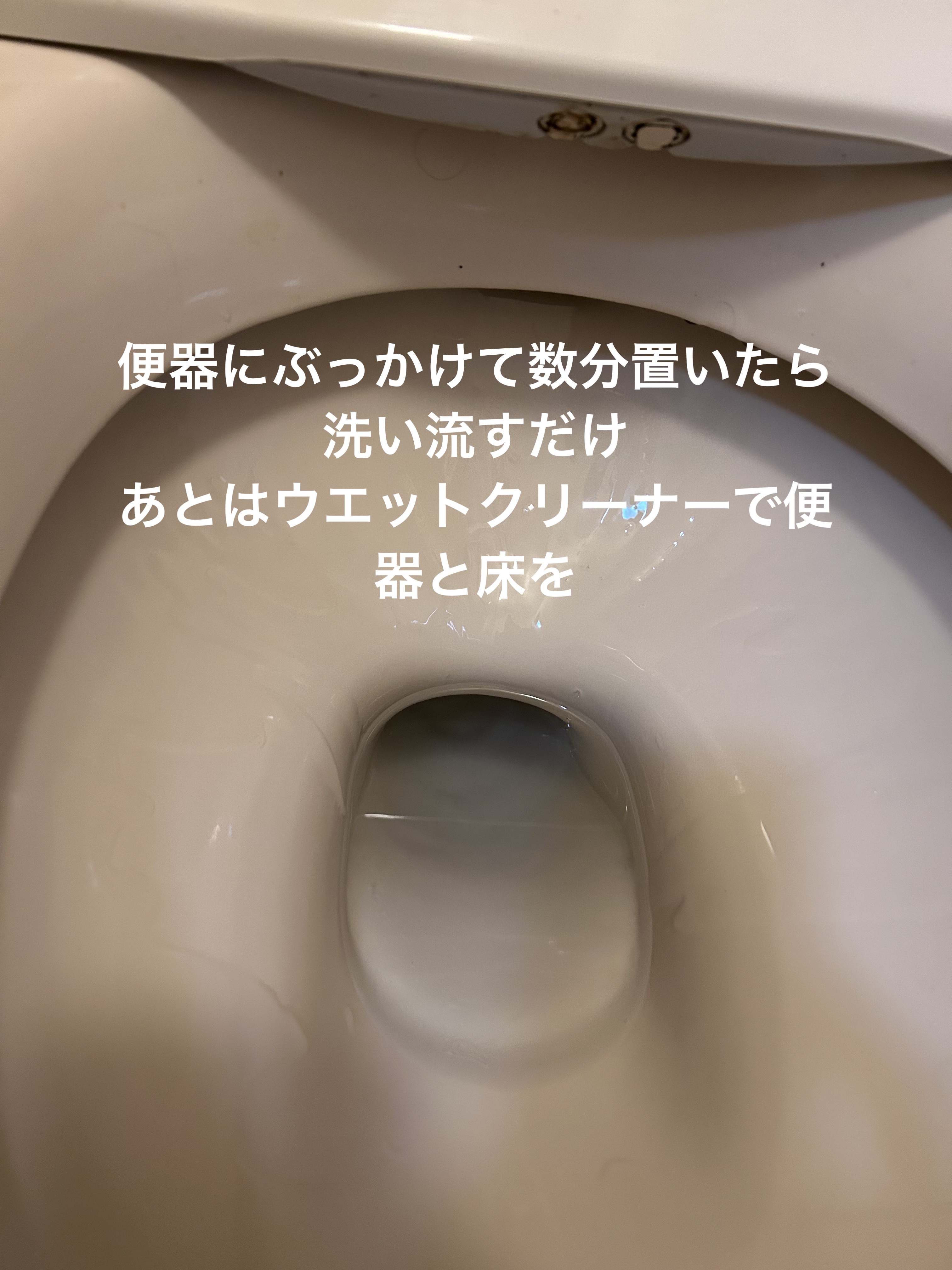 スクラビングバブル超強力トイレクリーナー/ジョンソン/その他を使ったクチコミ（3枚目）