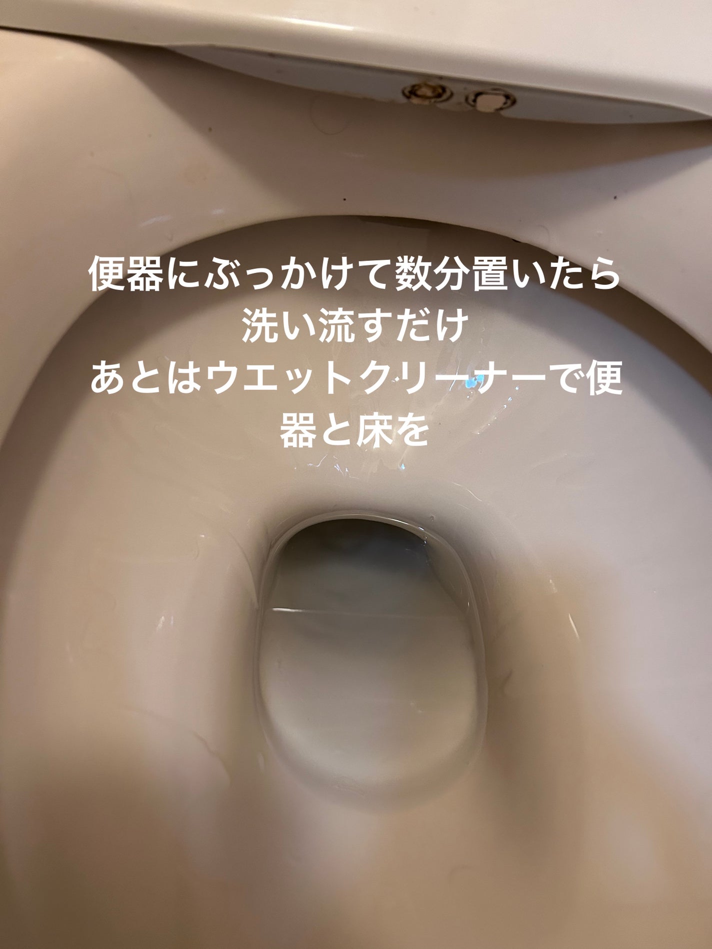 スクラビングバブル超強力トイレクリーナー/ジョンソン/その他を使ったクチコミ(3枚目)