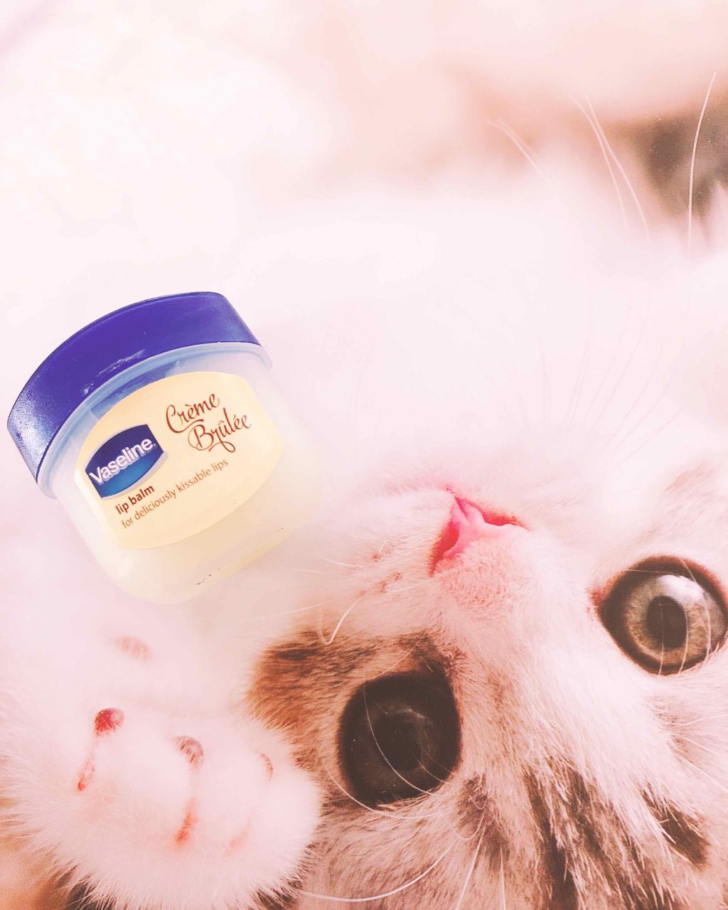 リップ クレームブリュレ/ヴァセリン/リップケアを使ったクチコミ（3枚目）