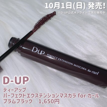 パーフェクトエクステンション マスカラ for カール/D-UP/マスカラを使ったクチコミ(2枚目)