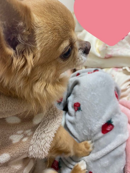 Just A Tint-Mini Duo/ColourPop/口紅を使ったクチコミ(9枚目)