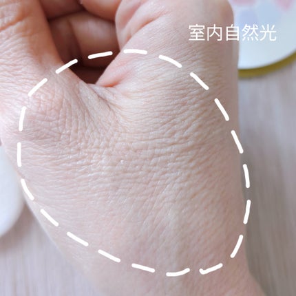 ラ プードル オートニュアンス/Elégance/プレストパウダーを使ったクチコミ(7枚目)