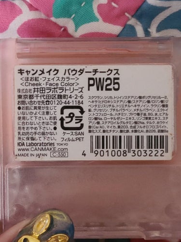 【旧品】パウダーチークス PW25 シュガーオレンジ/キャンメイク/パウダーチークを使ったクチコミ（3枚目）