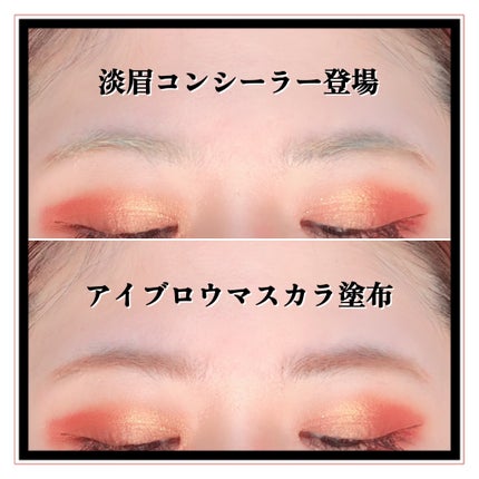 淡眉コンシーラー/シークレットサロン/眉マスカラを使ったクチコミ(6枚目)
