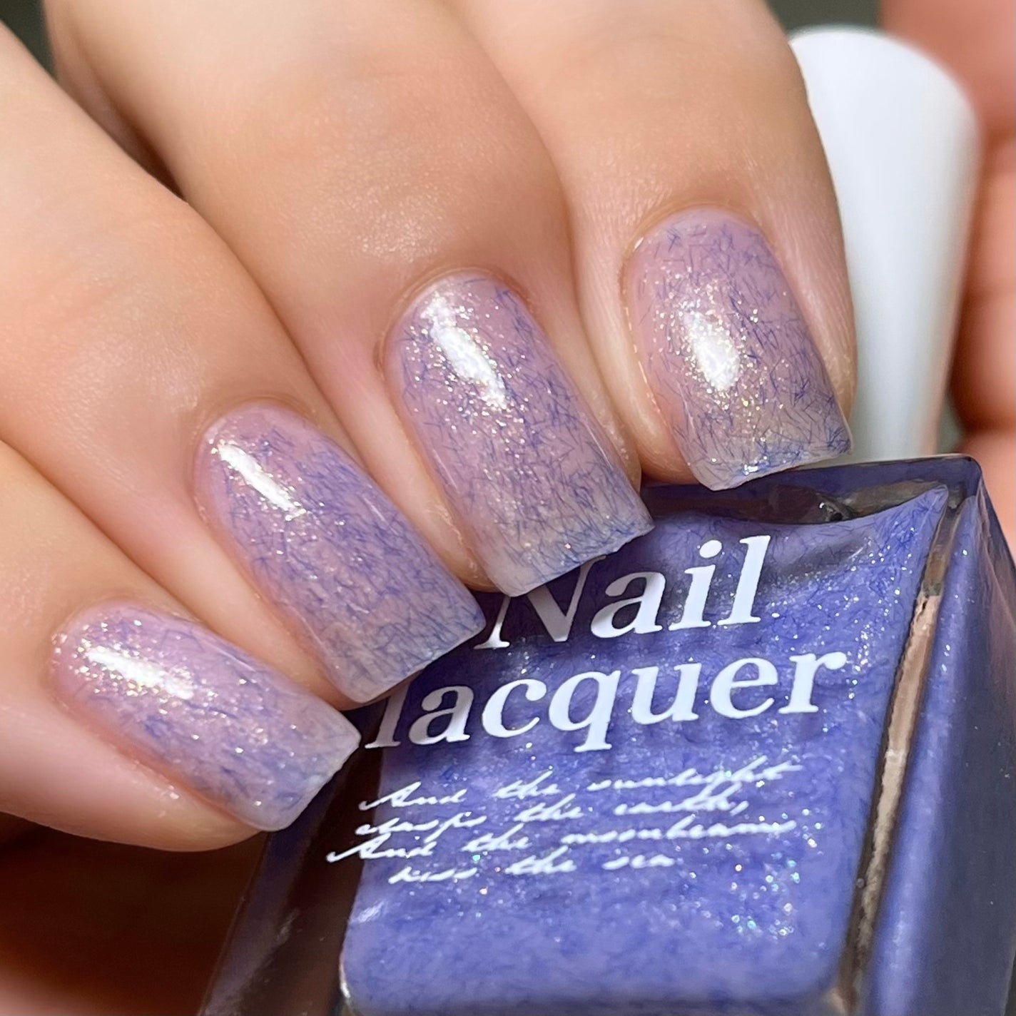 jill leen. 繊維ネイル /jill leen./マニキュアを使ったクチコミ(1枚目)