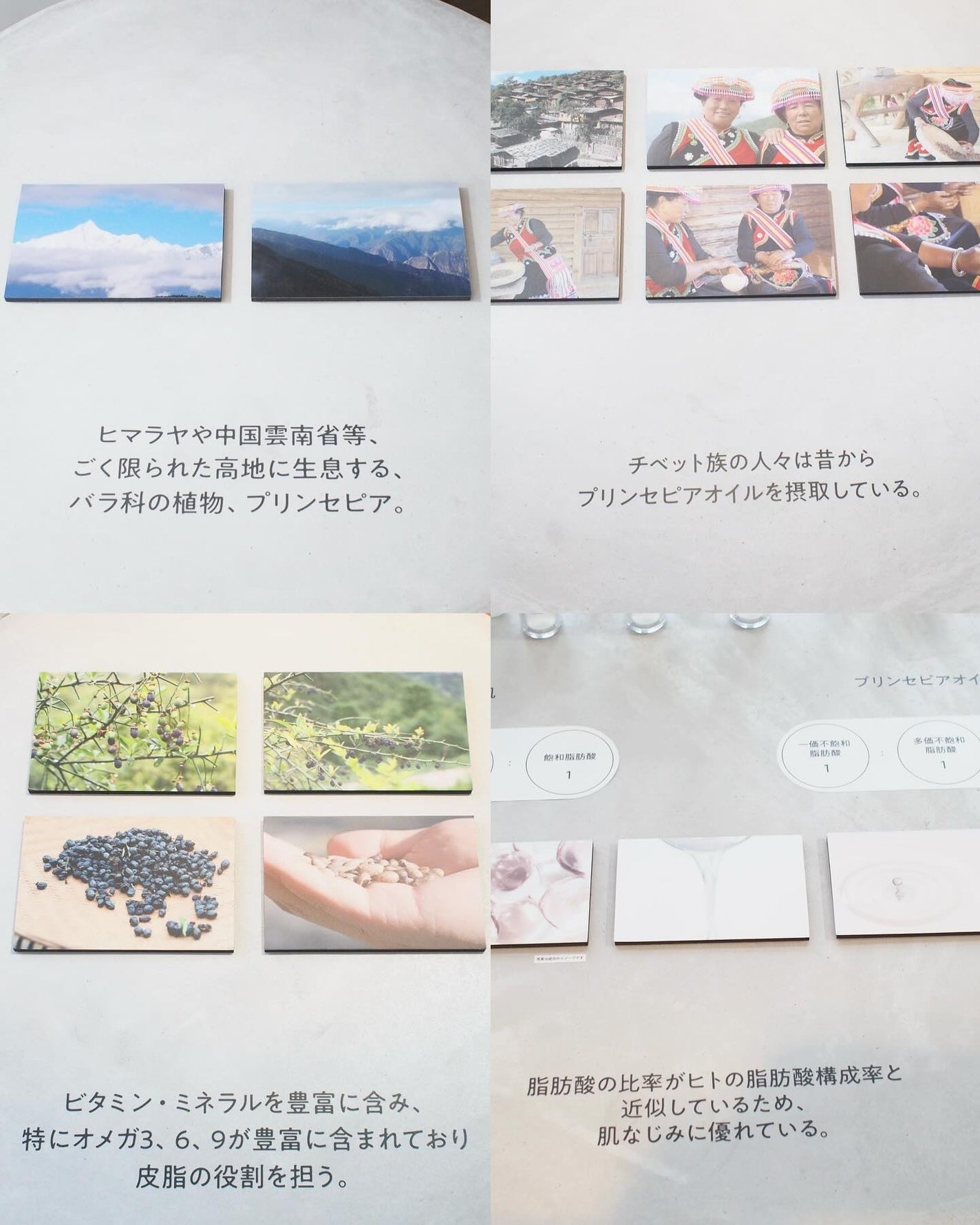 スキンアウェイクニングエッセンス/ennthy/美容液を使ったクチコミ(2枚目)