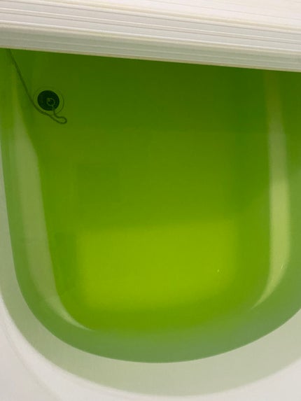 セージ/ARgENTUM Apothecary /香水(その他)を使ったクチコミ(6枚目)