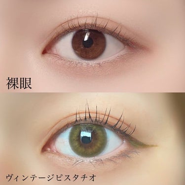 Angelcolor Bambi Series Vintage 1day/AngelColor/ワンデー（１DAY）カラコンを使ったクチコミ（2枚目）