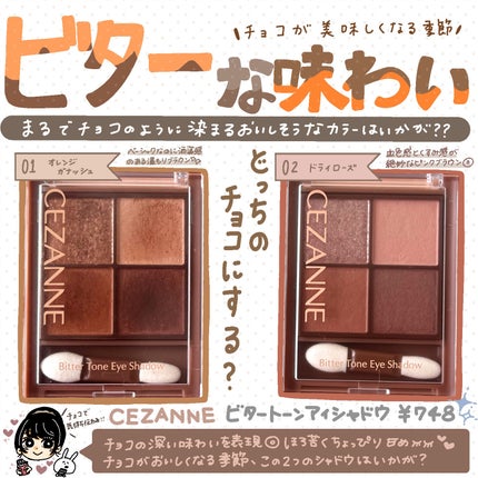 ビタートーンアイシャドウ/CEZANNE/パウダーアイシャドウを使ったクチコミ(1枚目)