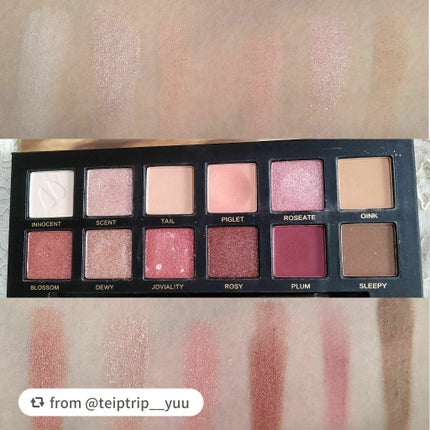 エクスプローラ12色 動物アイシャドウパレット/PERFECT DIARY/アイシャドウパレットを使ったクチコミ(2枚目)