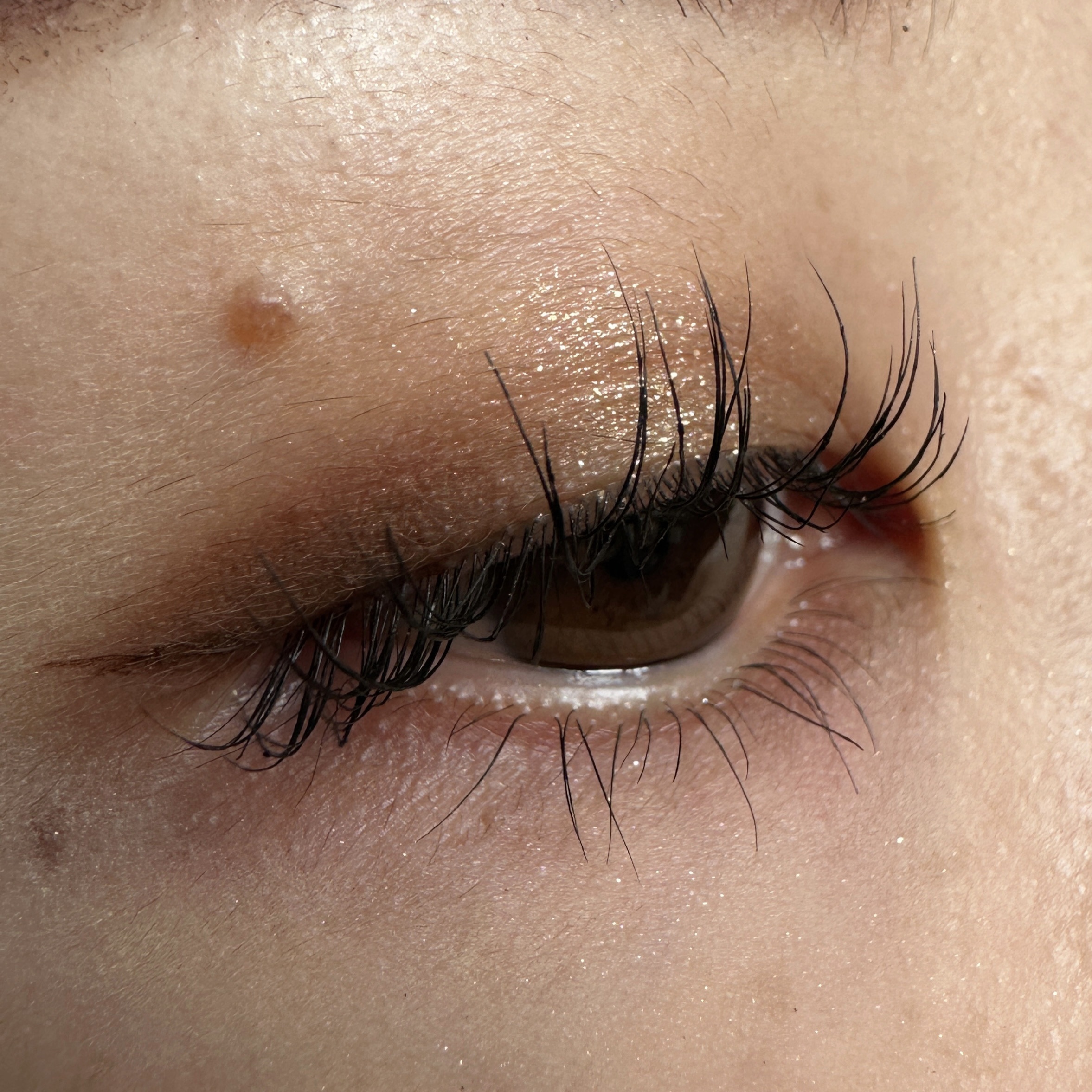 パーフェクトエクステンション マスカラ/D-UP/マスカラを使ったクチコミ（3枚目）
