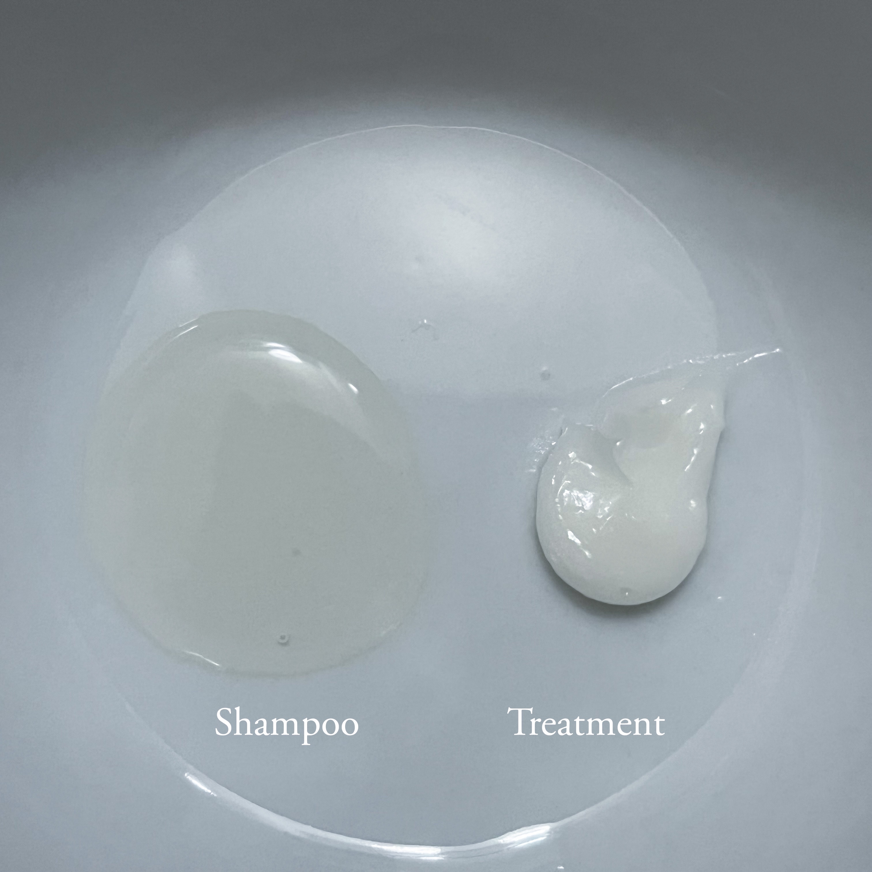 SILK THE RICH モイスト&リペア シャンプー・トリートメント/SILK THE RICH/市販シャンプーを使ったクチコミ（2枚目）