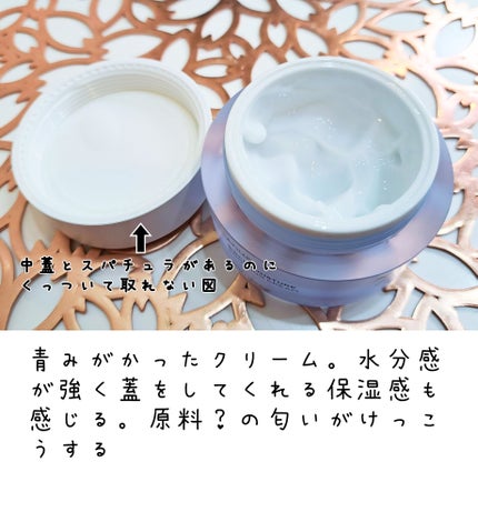 シラカバ水分ブースティングクリーム/Anua/フェイスクリームを使ったクチコミ(2枚目)