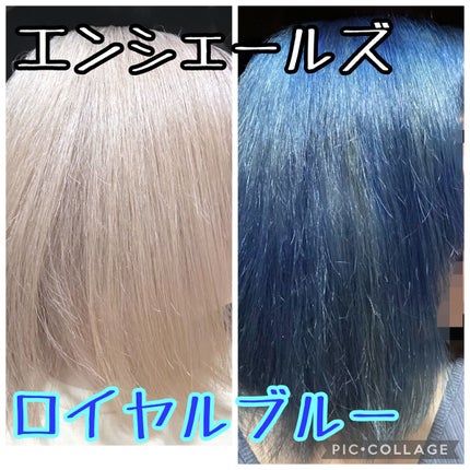 エンシェールズカラーバター/エンシェールズ/ヘアカラーを使ったクチコミ(1枚目)