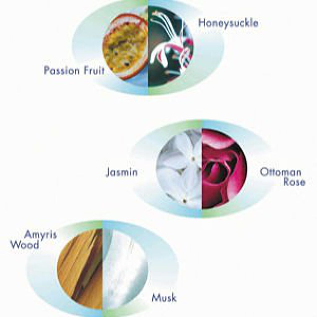 インカント チャーム オードトワレ/Salvatore Ferragamo/香水(レディース)を使ったクチコミ（3枚目）