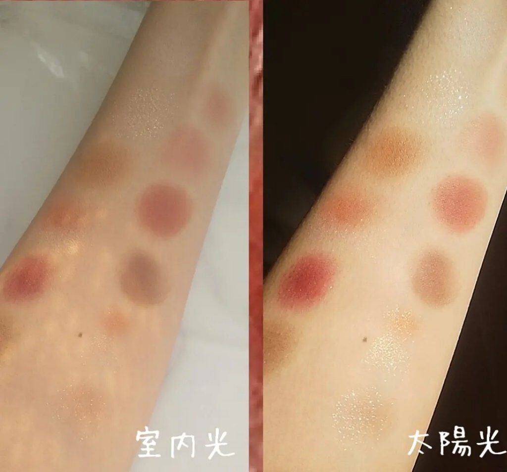 エクスプローラ12色 動物アイシャドウパレット/PERFECT DIARY/アイシャドウパレットを使ったクチコミ(3枚目)