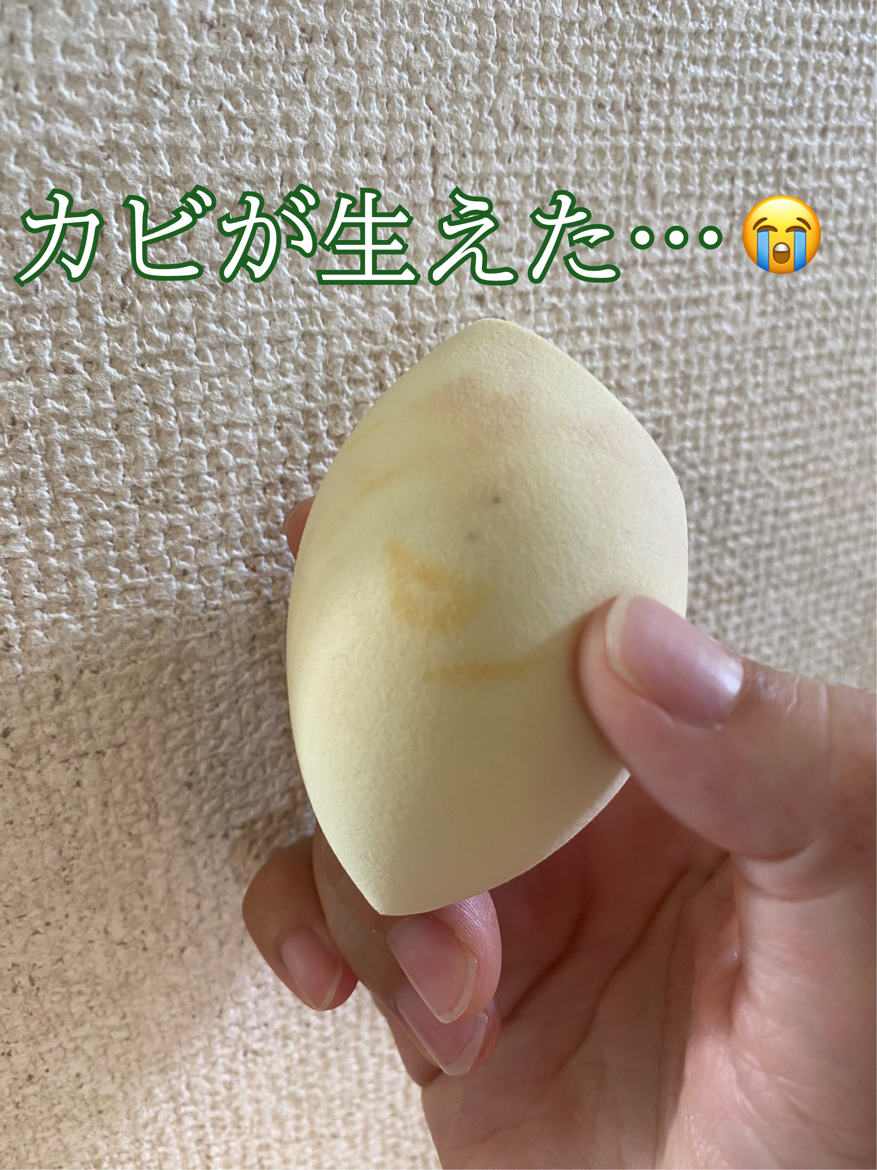 3Dメイクアップスポンジ(フラットカット型)/DAISO/パフ・スポンジを使ったクチコミ（1枚目）