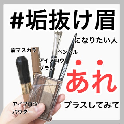 ノーズ&アイブロウパウダー/CEZANNE/パウダーアイブロウを使ったクチコミ(1枚目)