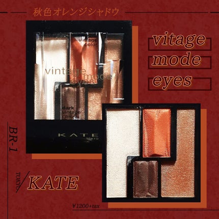 ヴィンテージモードアイズ/KATE/アイシャドウパレットを使ったクチコミ(1枚目)