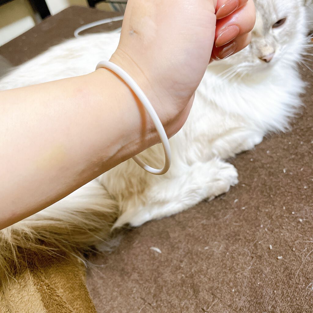 シリコンリングゴム5P/セリア/ヘアアクセサリーを使ったクチコミ（2枚目）