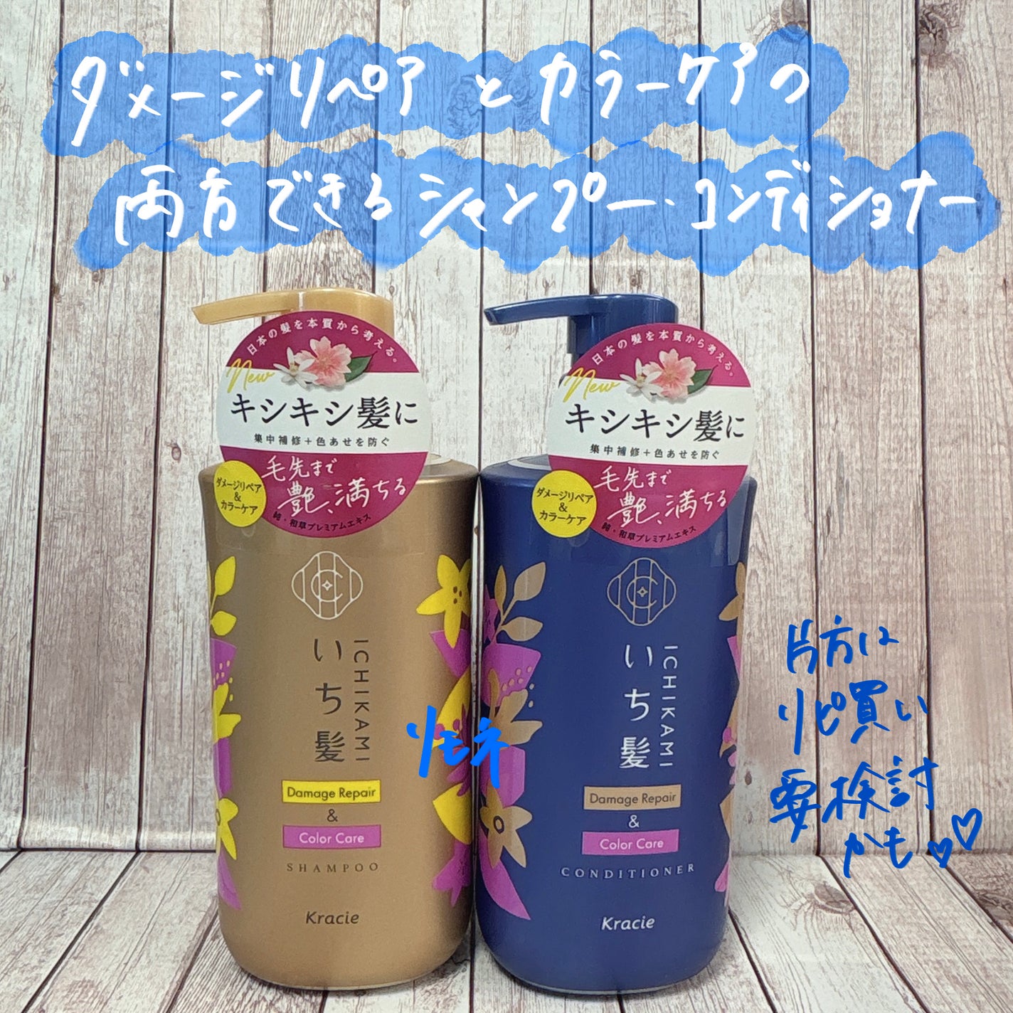 ãã¡ãŒãžãªãã¢ïŒã«ã©ãŒã±ã¢ ã·ã£ã³ããŒ/ã³ã³ãã£ã·ã§ããŒ/ãã¡é«ª/åžè²©ã·ã£ã³ããŒã䜿ã£ãã¯ãã³ãïŒ1æç®ïŒ