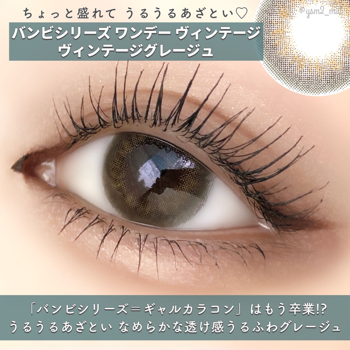 Angelcolor Bambi Series Vintage 1day/AngelColor/ワンデー(1DAY)カラコンを使ったクチコミ(6枚目)