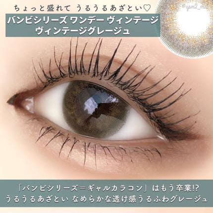 Angelcolor Bambi Series Vintage 1day/AngelColor/ワンデー(1DAY)カラコンを使ったクチコミ(6枚目)