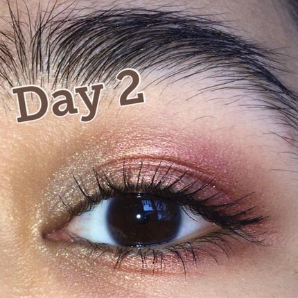 Give It To Me Straight/ColourPop/アイシャドウパレットを使ったクチコミ(1枚目)