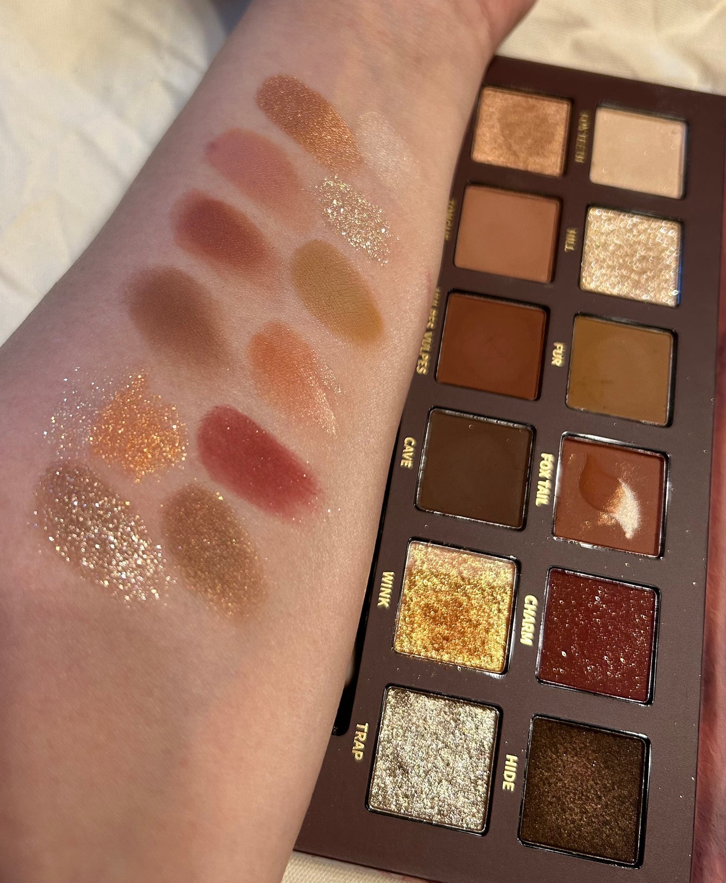 エクスプローラ12色 動物アイシャドウパレット/PERFECT DIARY/アイシャドウパレットを使ったクチコミ(1枚目)